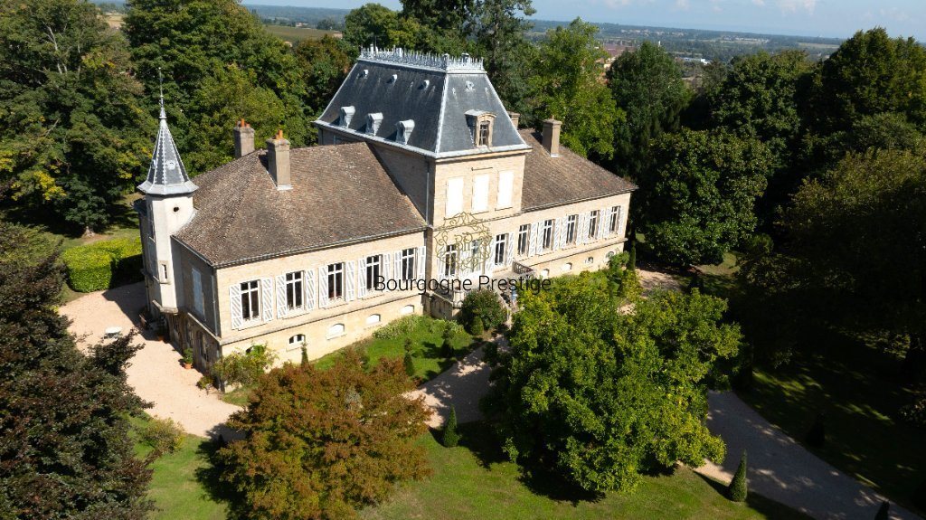 Maison à vendre, 578m², Mâcon