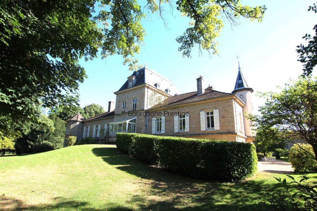 Maison à vendre, 578m², Mâcon