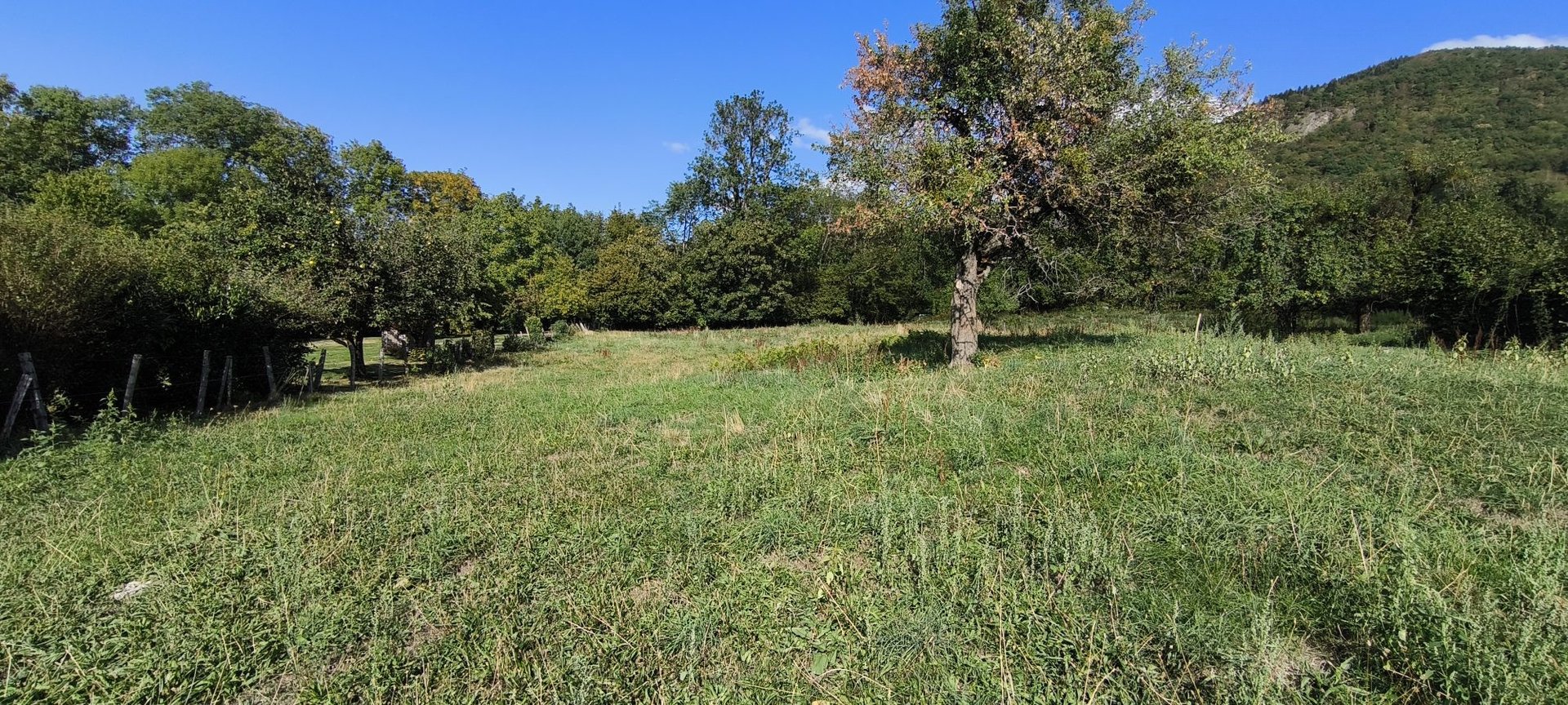 Purchase: Land (74550) - Vue 5