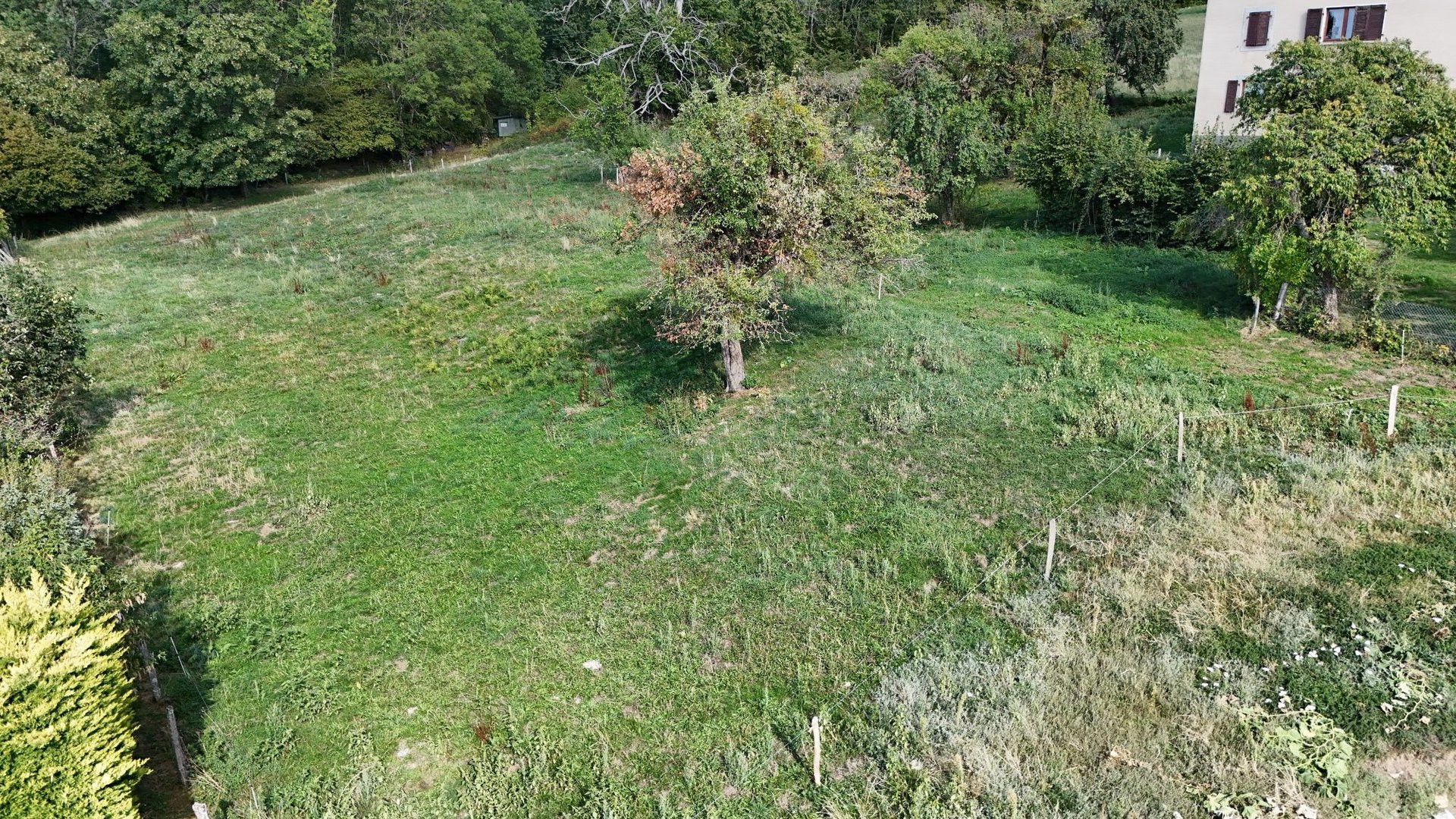 Purchase: Land (74550) - Plus