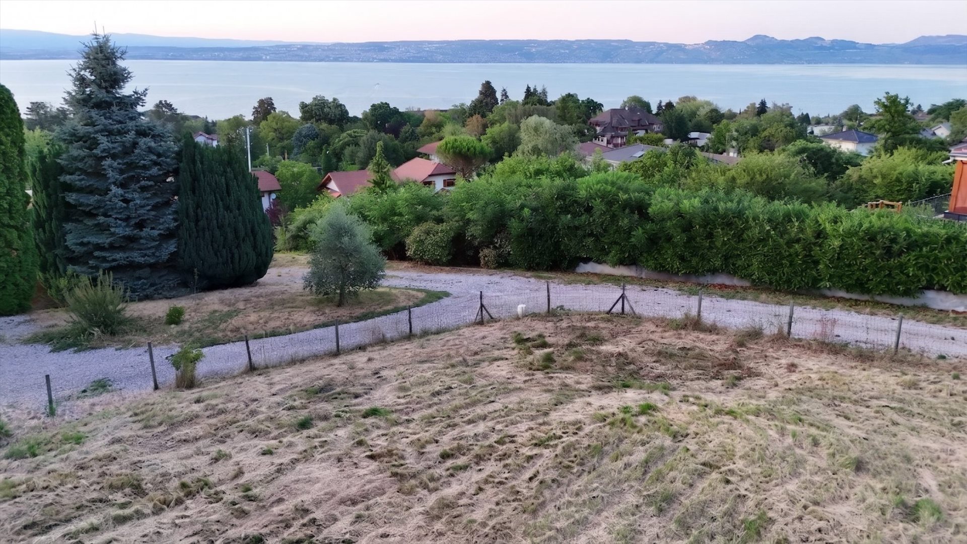 Lake view: 1,374 m² building plot in the hills above Evian - More