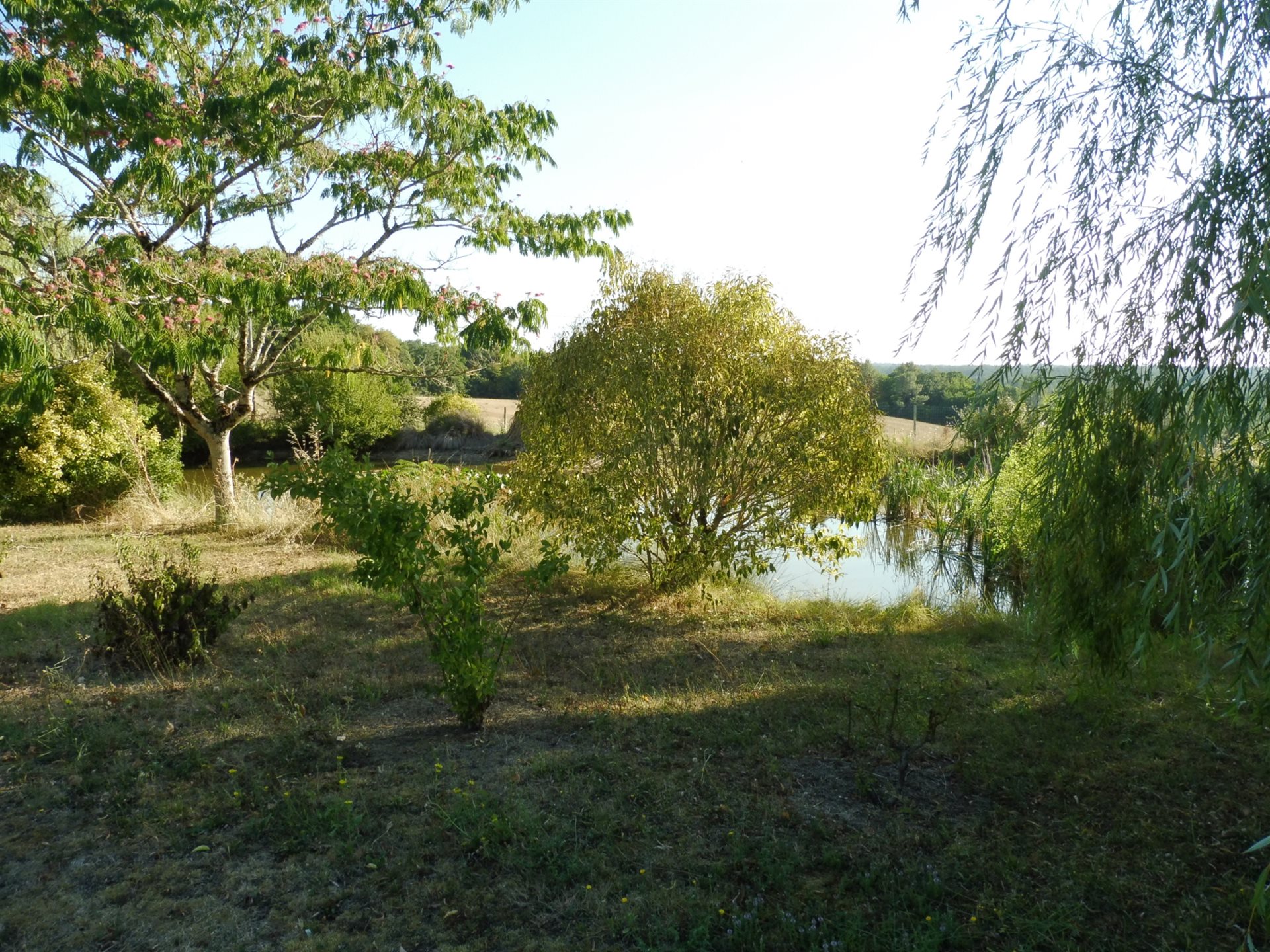Maison à vendre, 150m², Saint-André-de-Double