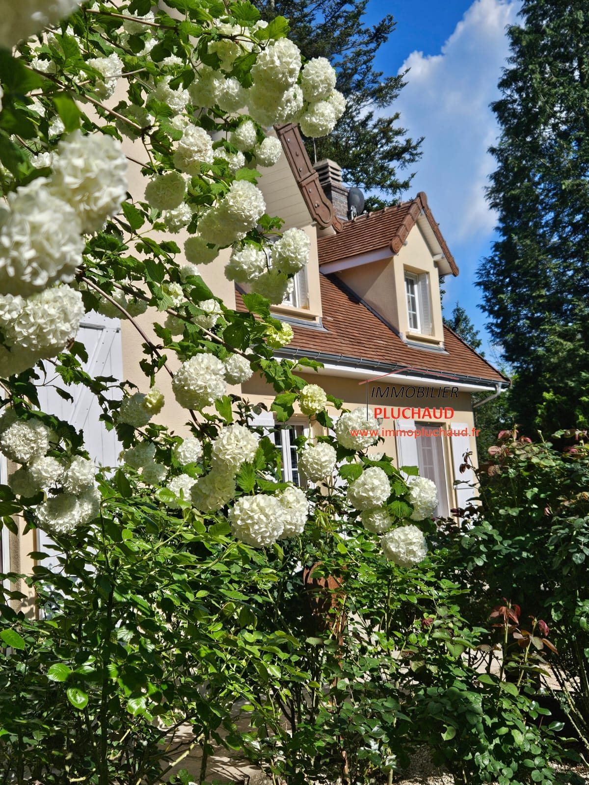 Maison à vendre, 227m², Paray-le-Monial
