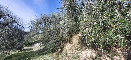 Terrain 120 m² · à Nice · 120 m² · 160 000 €