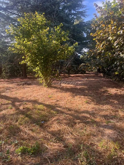 Terrain 1200 m² · à Berre-les-Alpes · 1 200 m² · 180 000 €