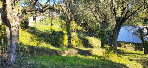 230 €/m² · à Contes · 230 000 €