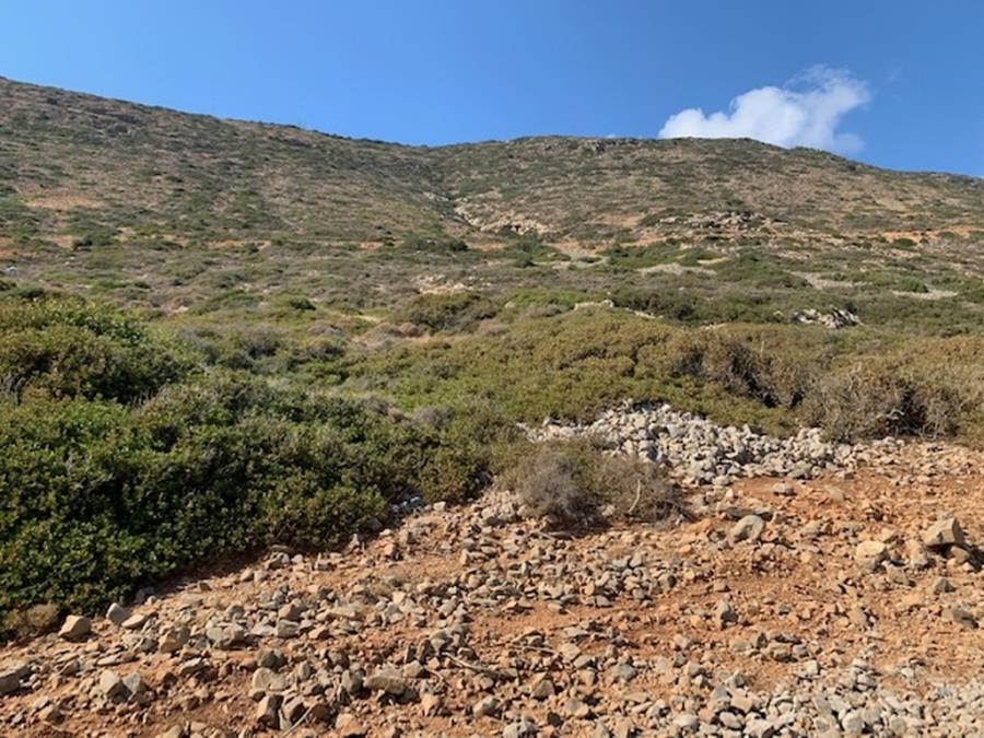 Land direkt am Meer steht in Plaka Elounda zum Verkauf