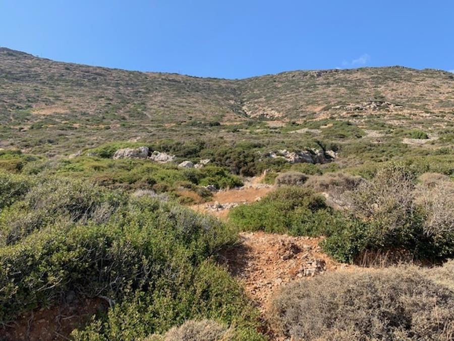 Land direkt am Meer steht in Plaka Elounda zum Verkauf