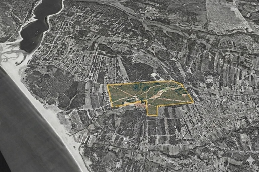 Advert pic 0