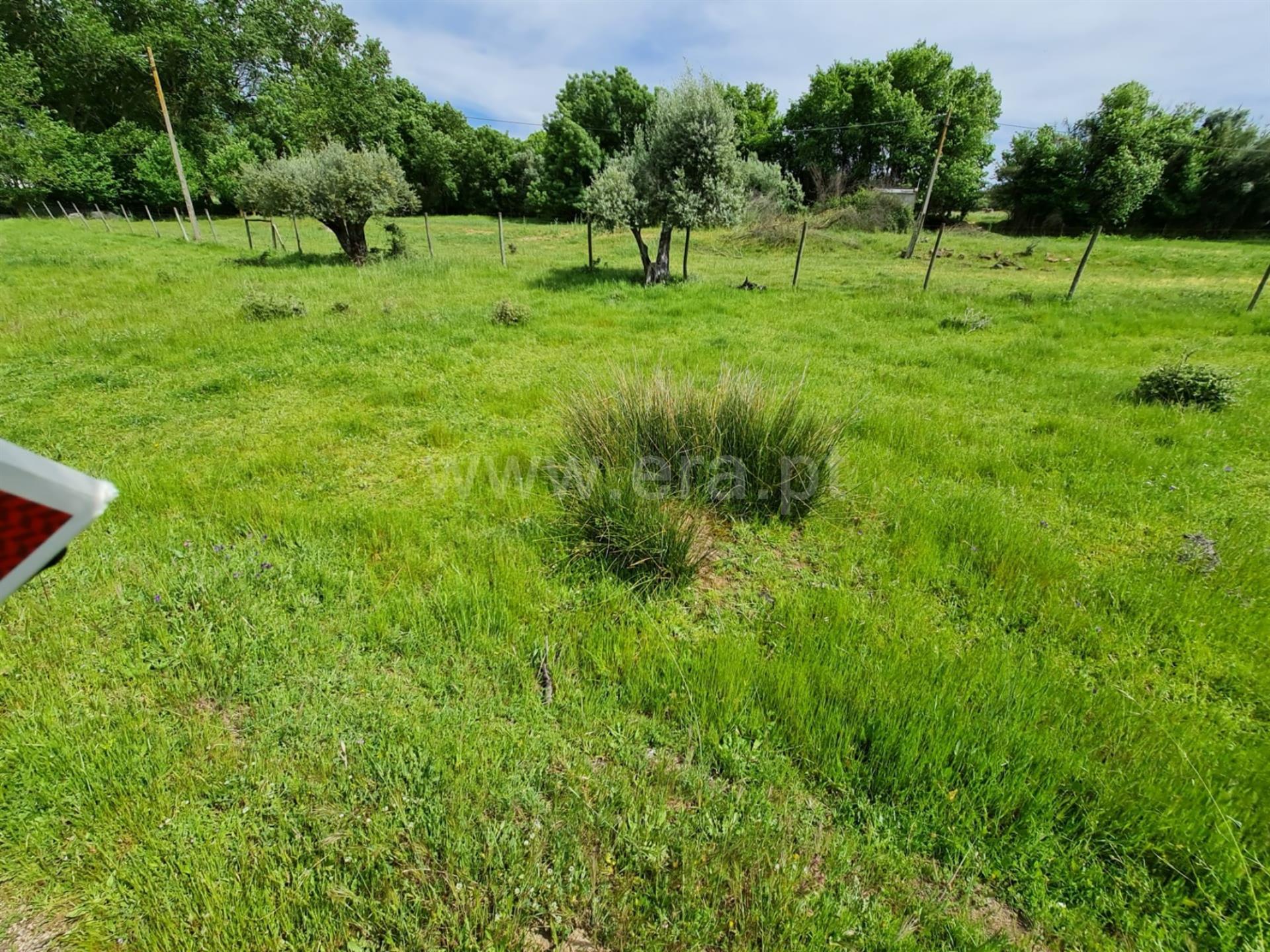 Farm