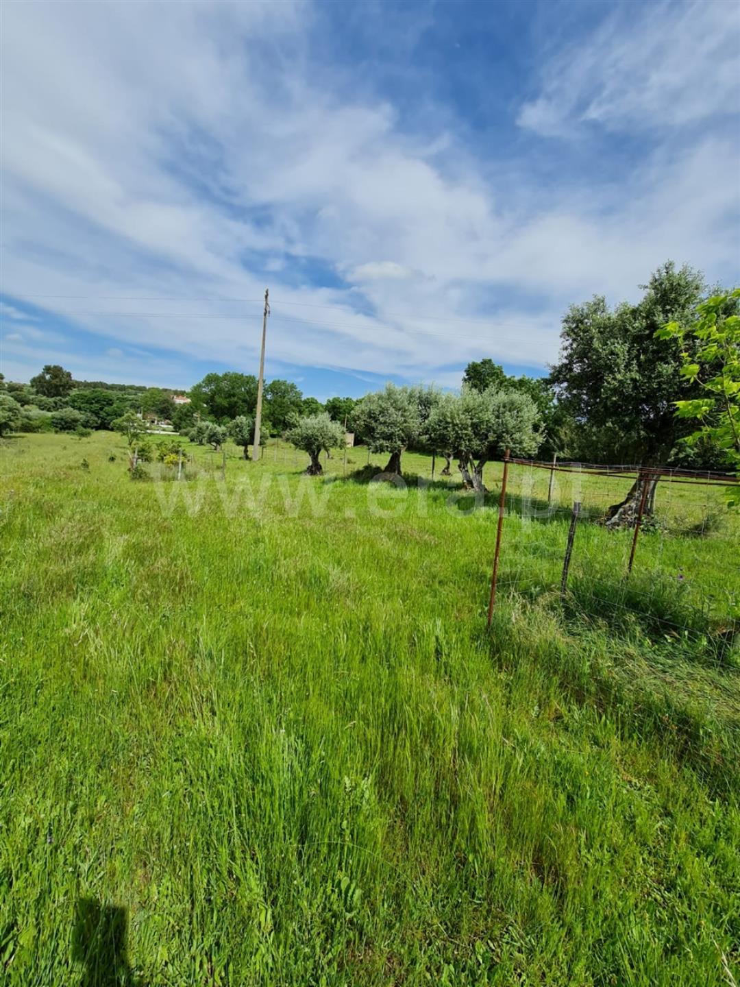 Farm