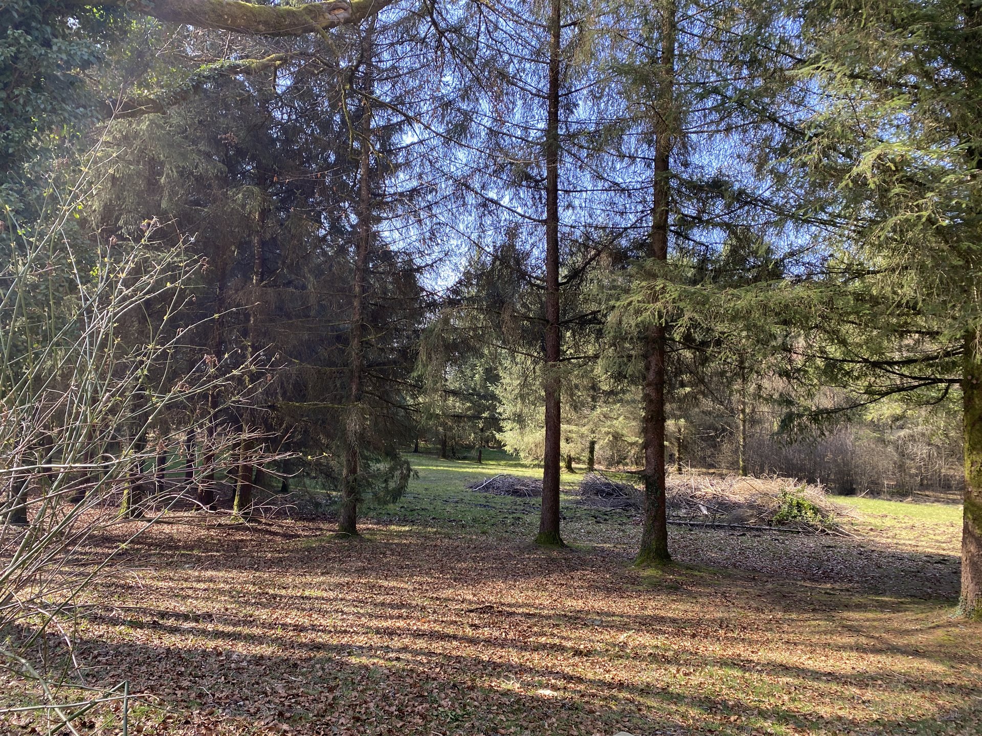 Maison à vendre, 129m², Saint-Hilaire-les-Courbes