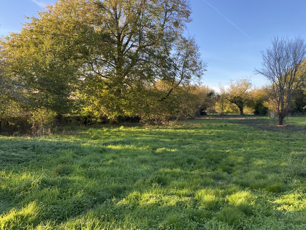 Maison à vendre, 90m², Neuvic-Entier
