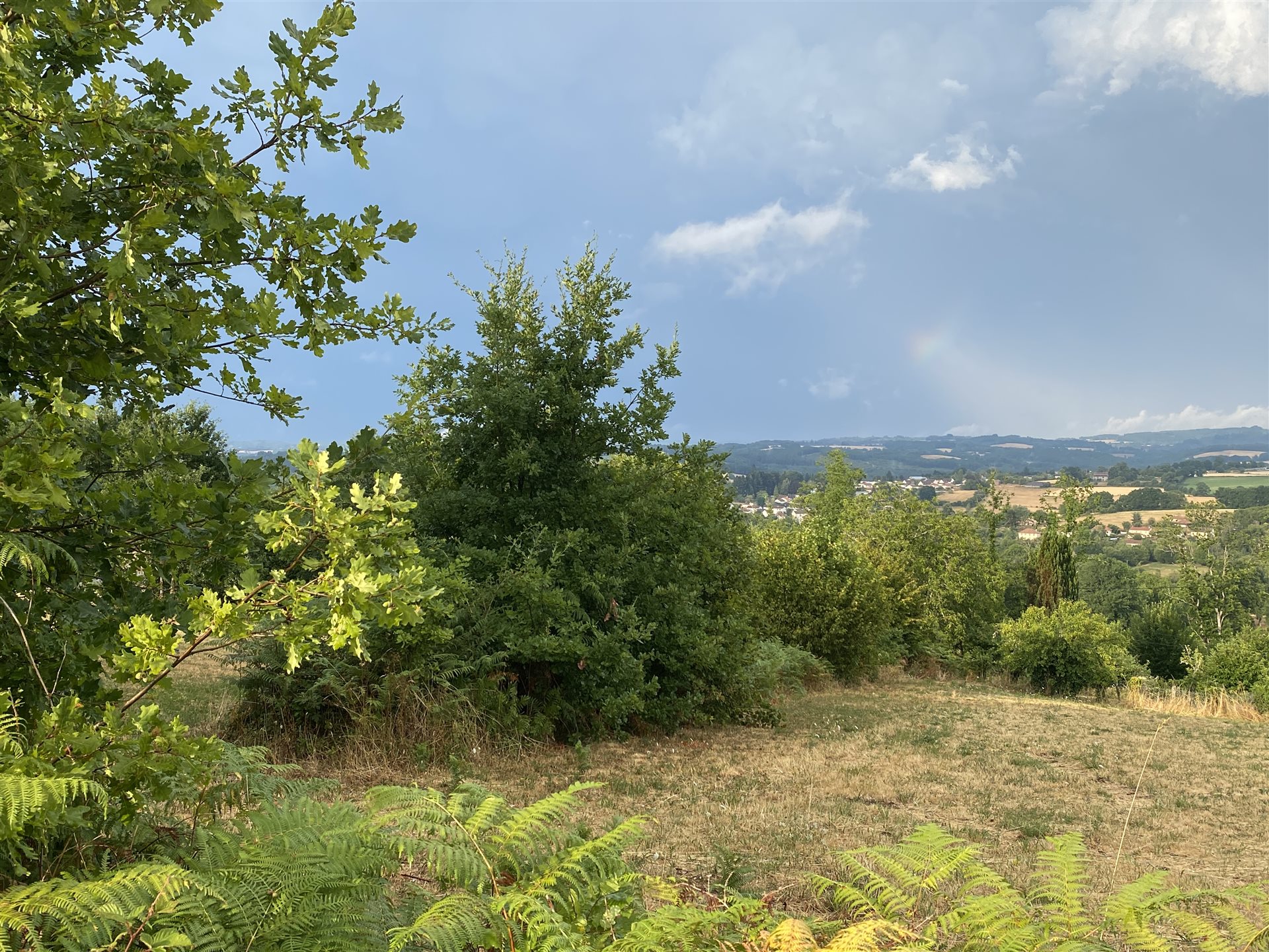 Maison à vendre, 80m², Châteauneuf-la-Forêt