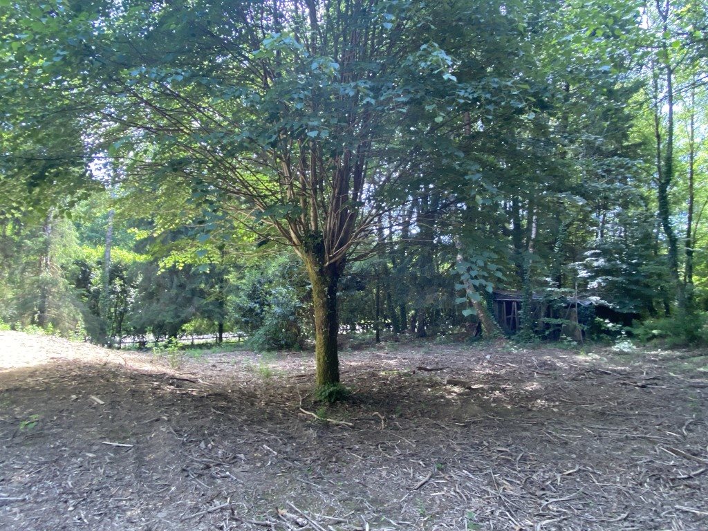 Maison à vendre, 89m², Eymoutiers