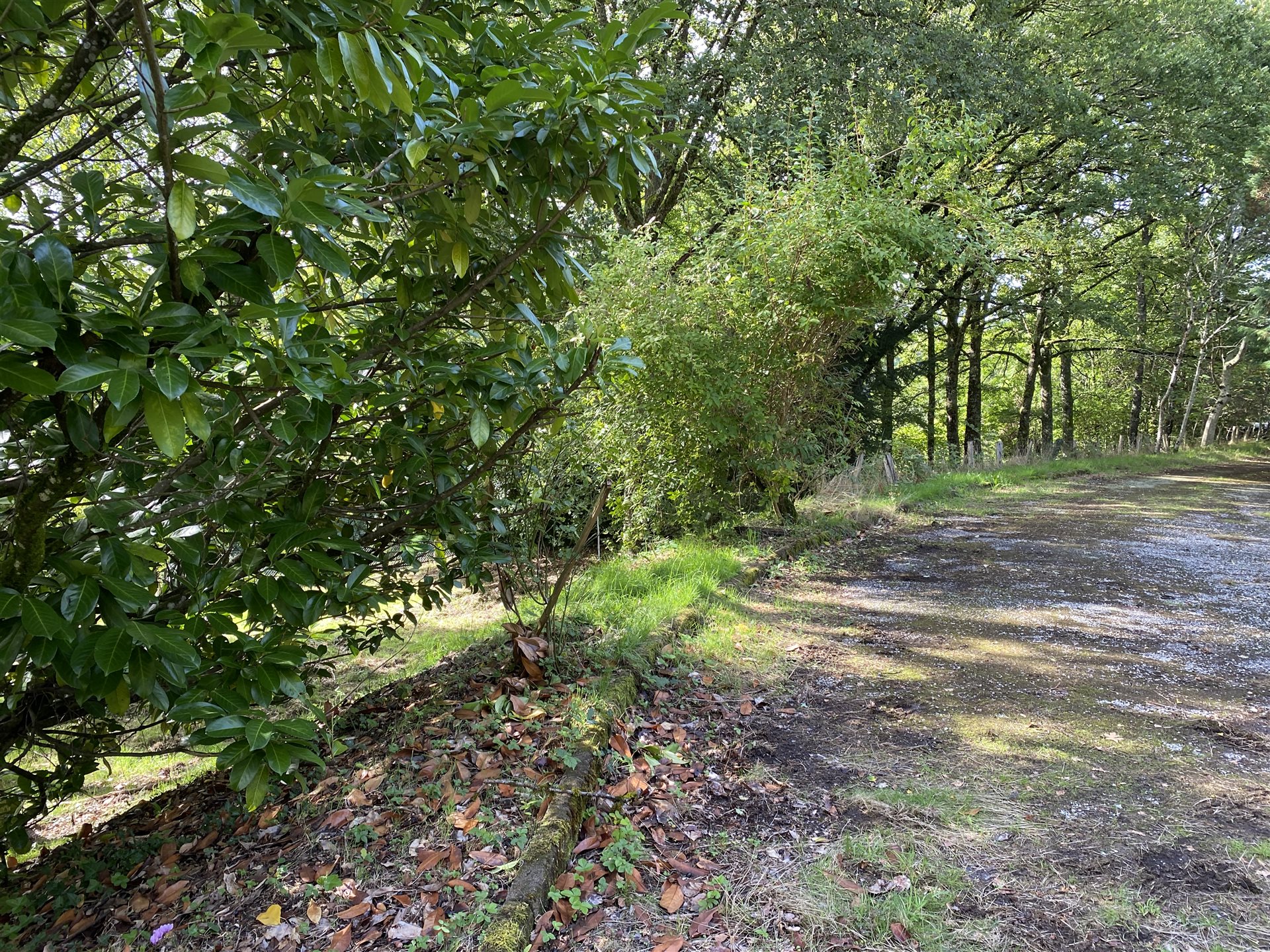 Maison à vendre, 147m², Eymoutiers