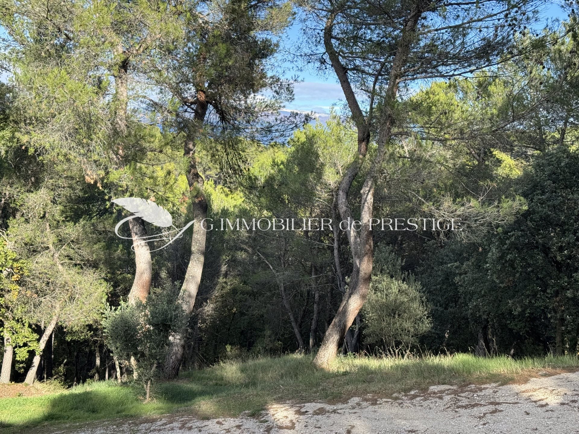 Maison à vendre, 200m², Carpentras
