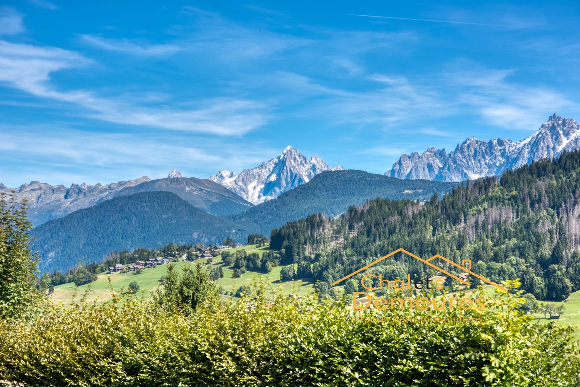 Purchase: Land (74120) - Vue 2