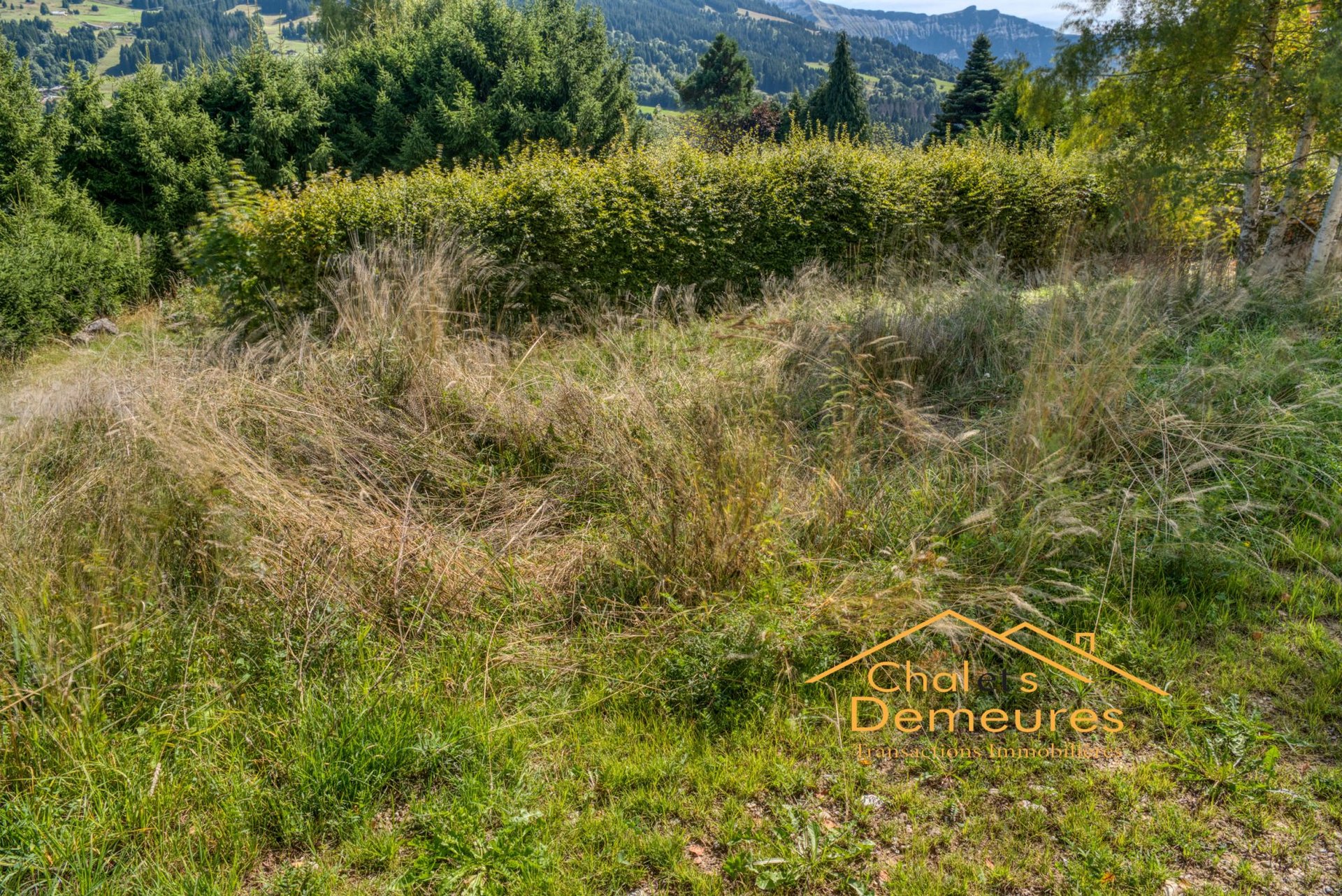 Purchase: Land (74120) - Vue 3