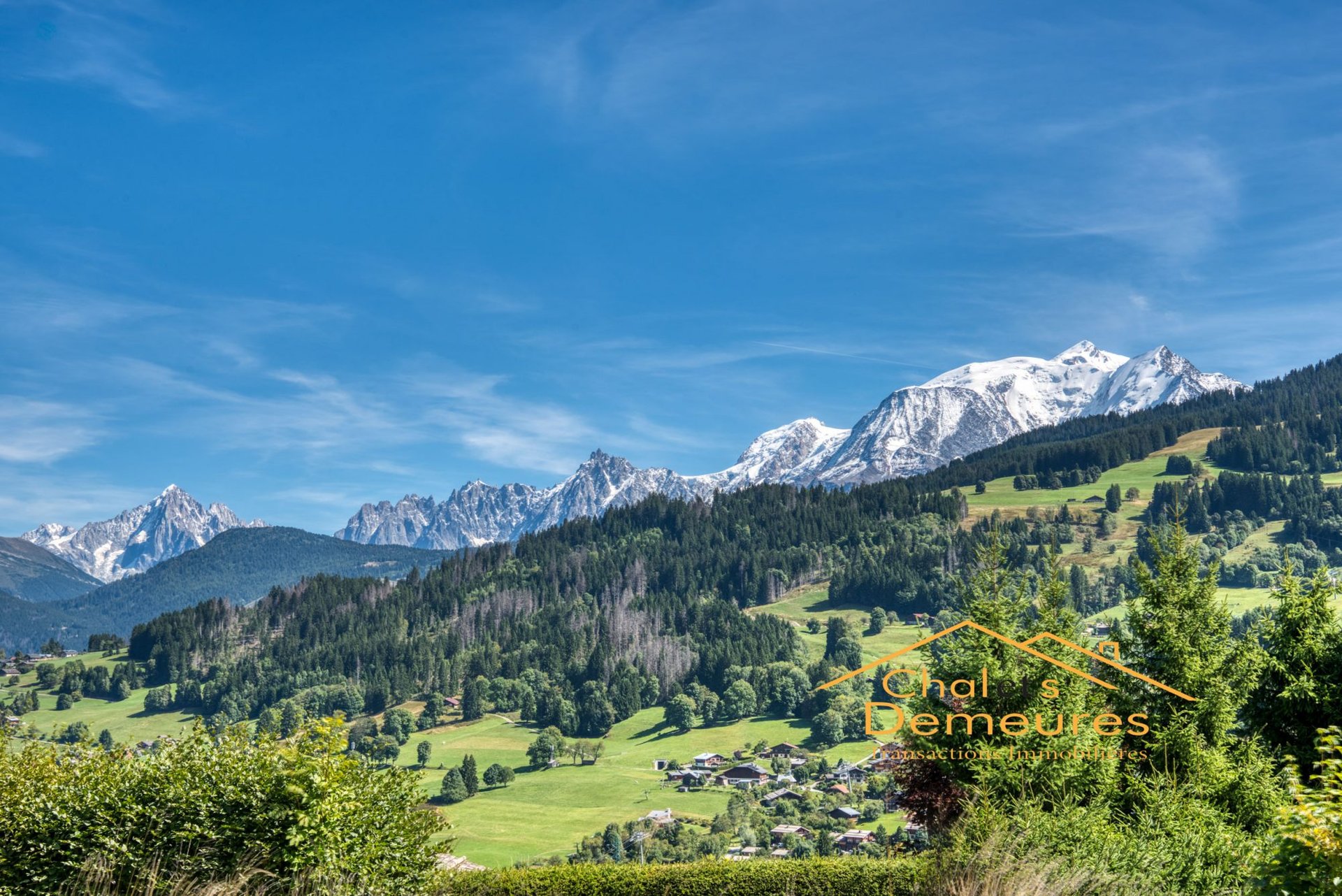 Purchase: Land (74120) - Vue 4