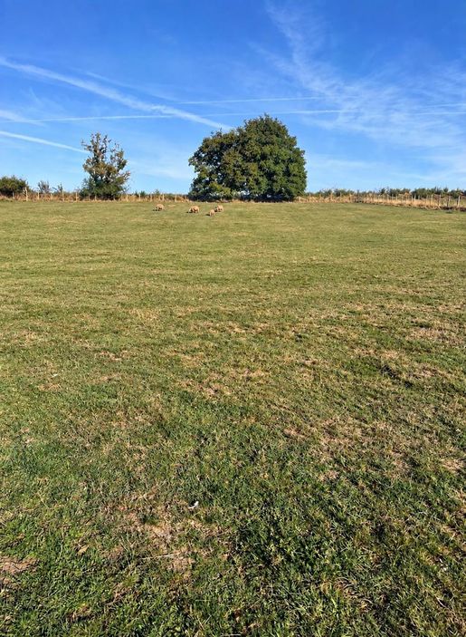 Terrain 1900 m² · à Châtonnay · 99 000 €