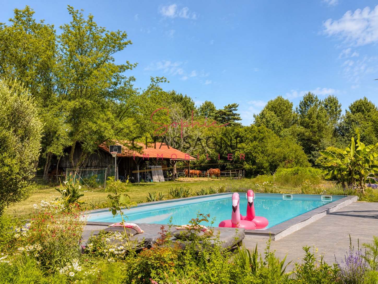Maison à vendre, 250m², Le Barp