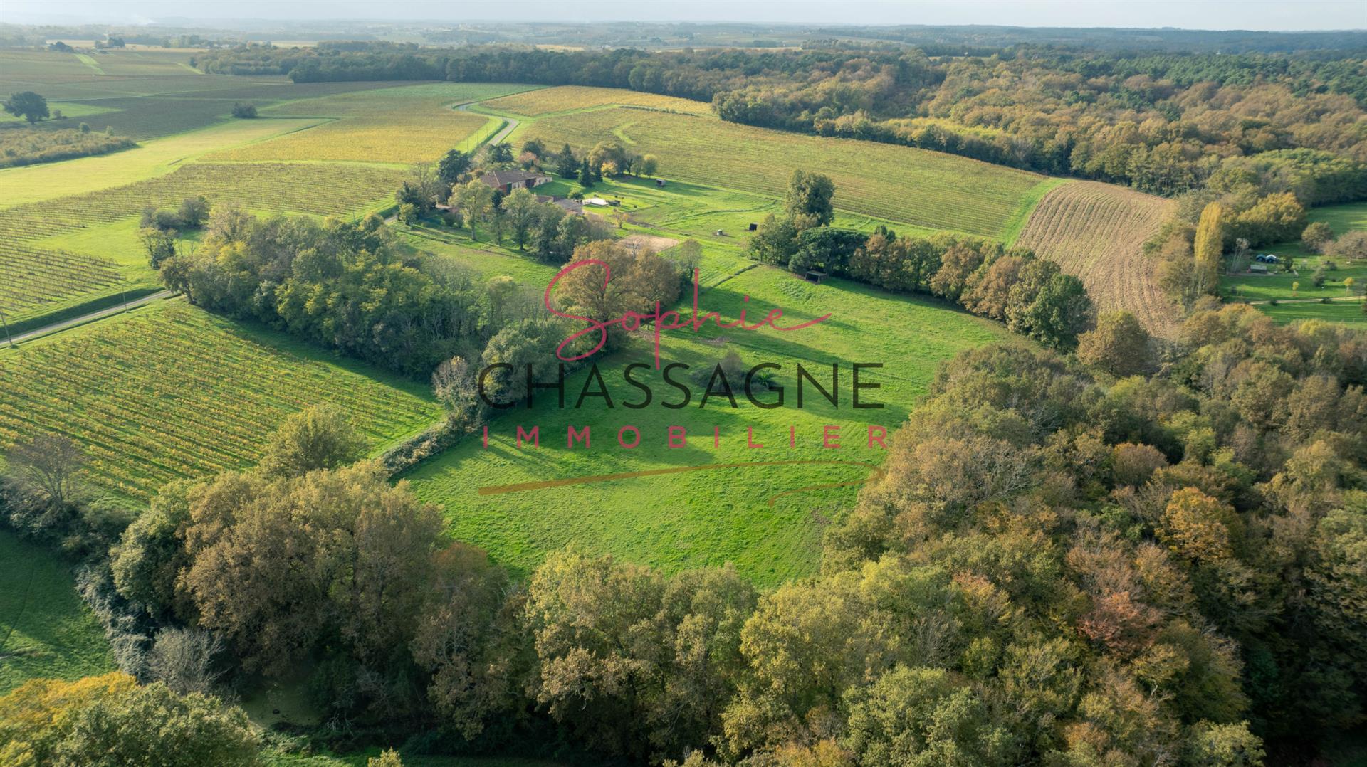Maison à vendre, 140m², Sauveterre-de-Guyenne