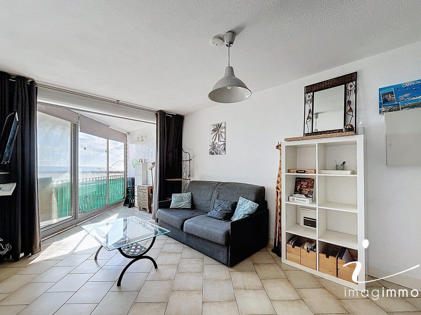 Appartement à vendre, 28m², Mauguio