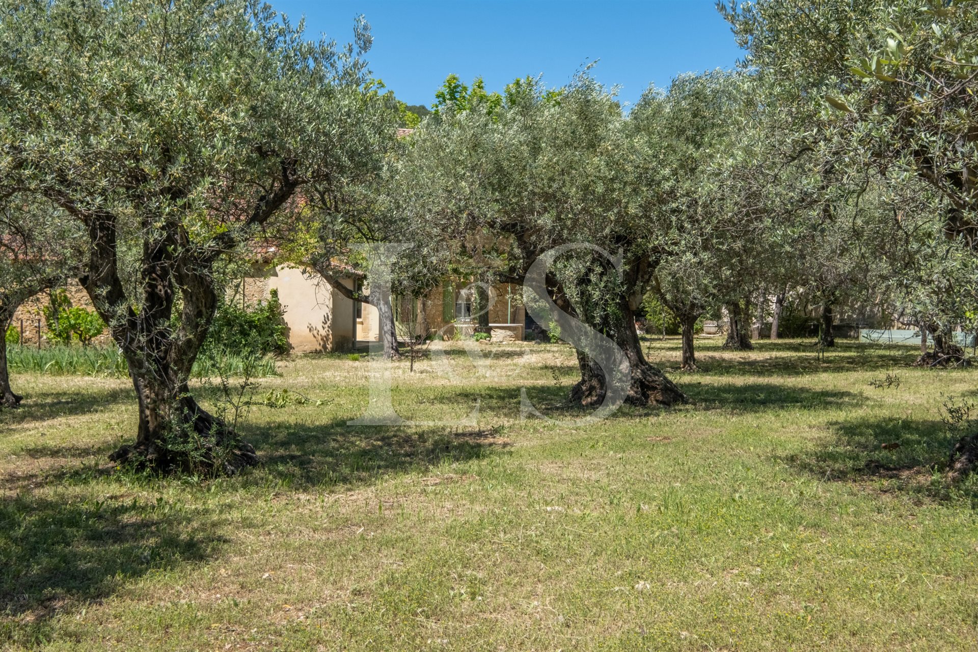Maison à vendre, 300m², Beaumes-de-Venise