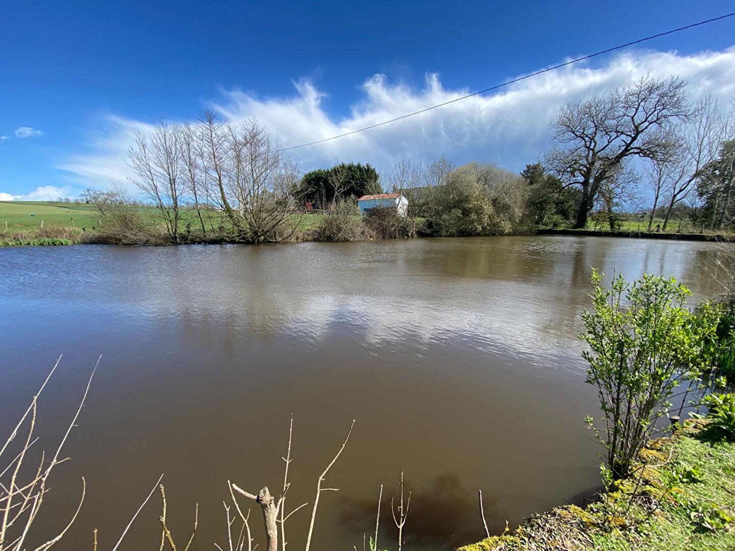 Maison à vendre, 242m², Lassay-les-Châteaux