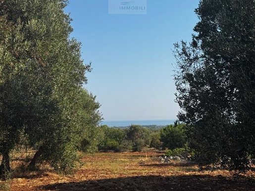 Terrain constructible avec vue sur la mer et trullo à vendre à Carovigno (BR)