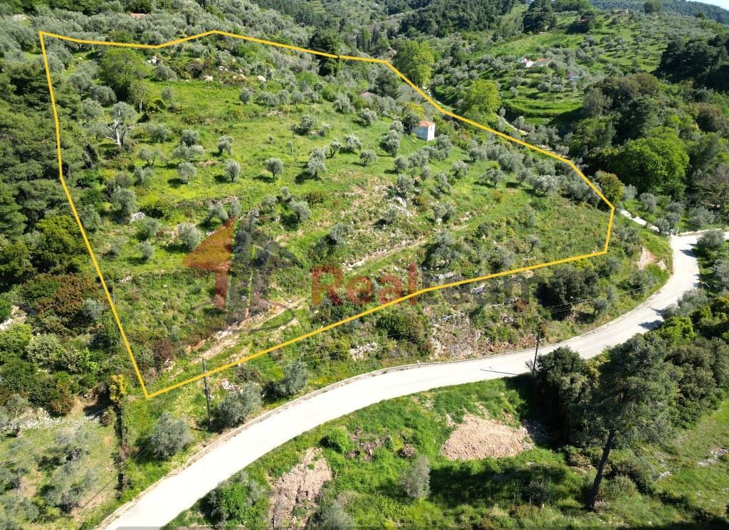- Detached house For sale, Skopelos, 46 sq.m., €120.000