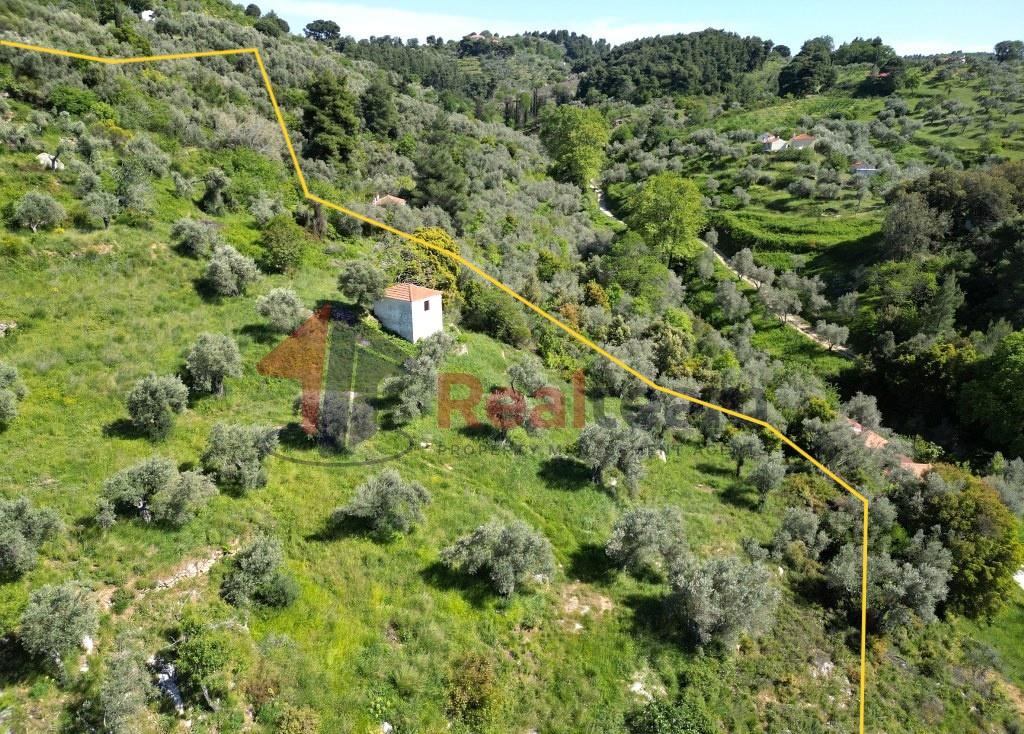 - Detached house For sale, Skopelos, 46 sq.m., €120.000