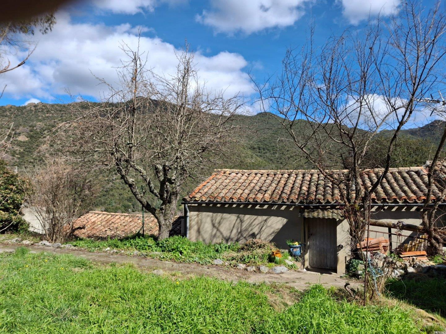 Maison à vendre, 100m², Belvianes-et-Cavirac