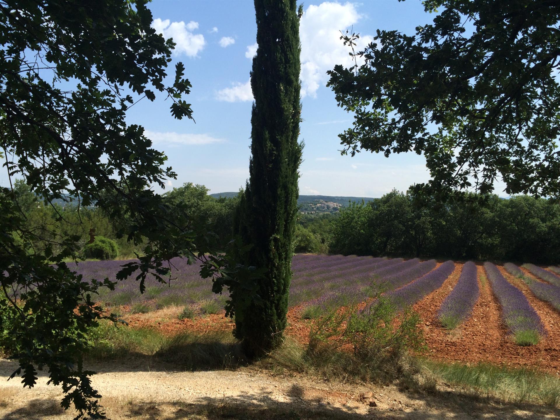 Maison à vendre, 250m², Grignan