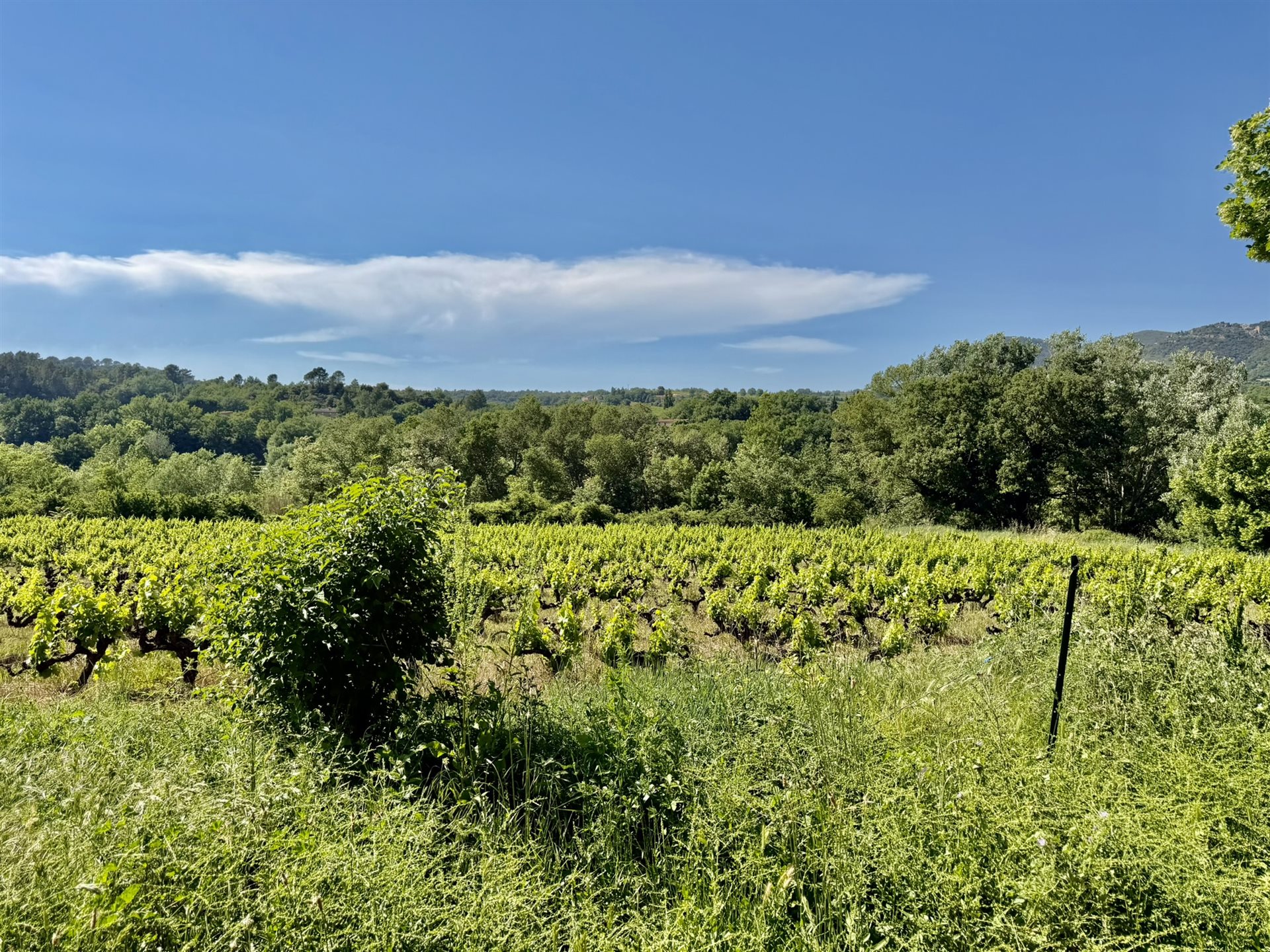 Maison à vendre, 190m², Mollans-sur-Ouvèze
