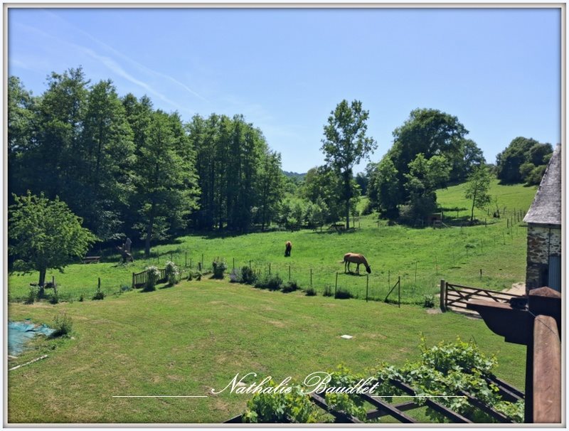 Maison à vendre, 250m², Mont-Saint-Jean