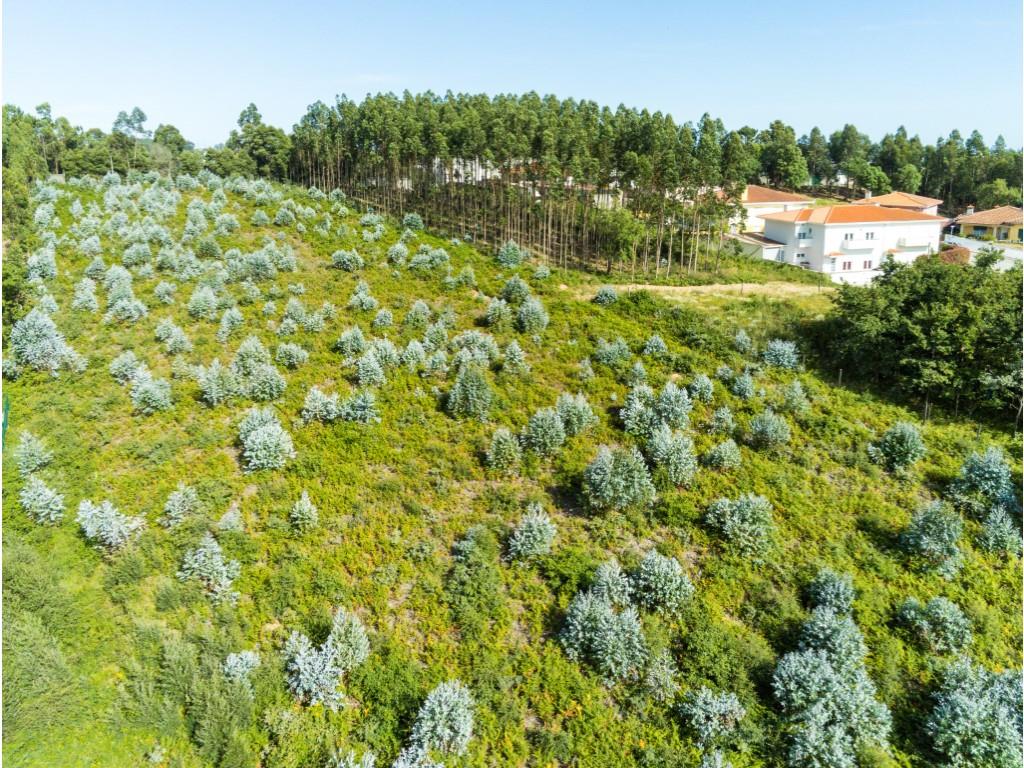 Grundstück mit einer Fläche von 7706 m2, Bau von 14 Häusern