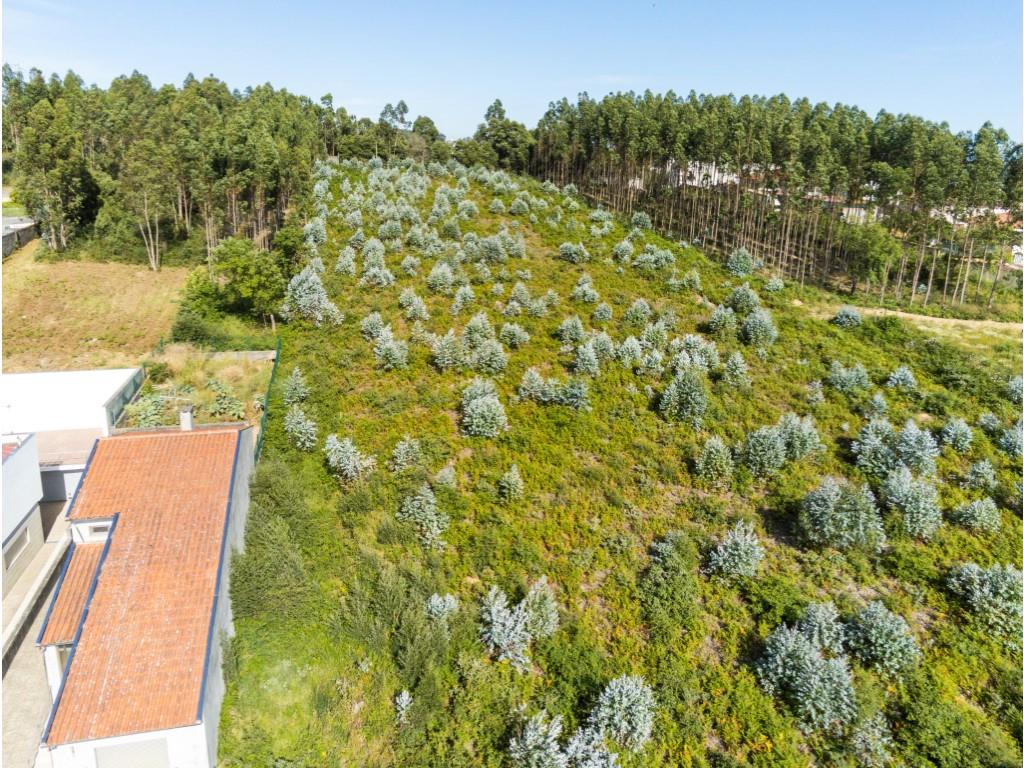 Grundstück mit einer Fläche von 7706 m2, Bau von 14 Häusern