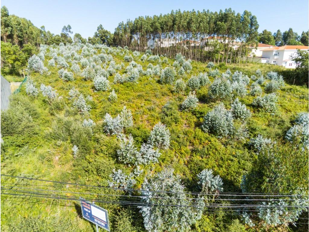 Grundstück mit einer Fläche von 7706 m2, Bau von 14 Häusern