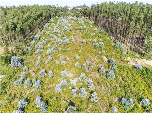 Grundstück mit einer Fläche von 7706 m2, Bau von 14 Häusern
