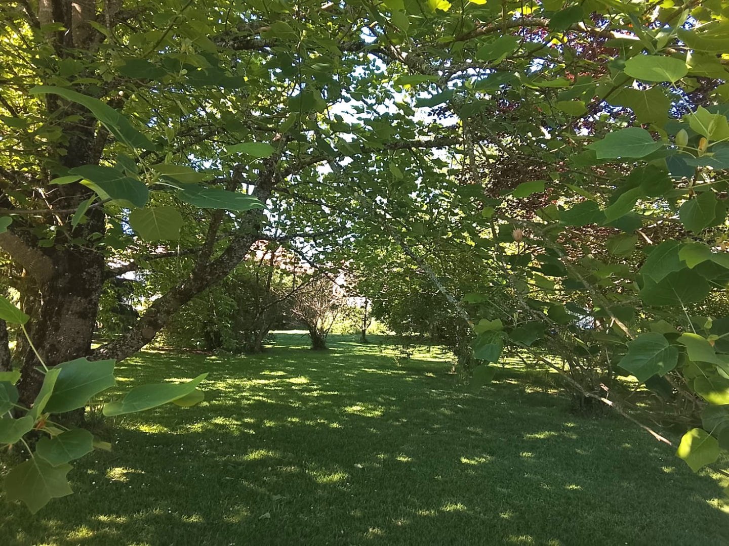 Maison à vendre, 117m², Nouic