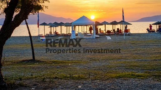 Advert pic 0
