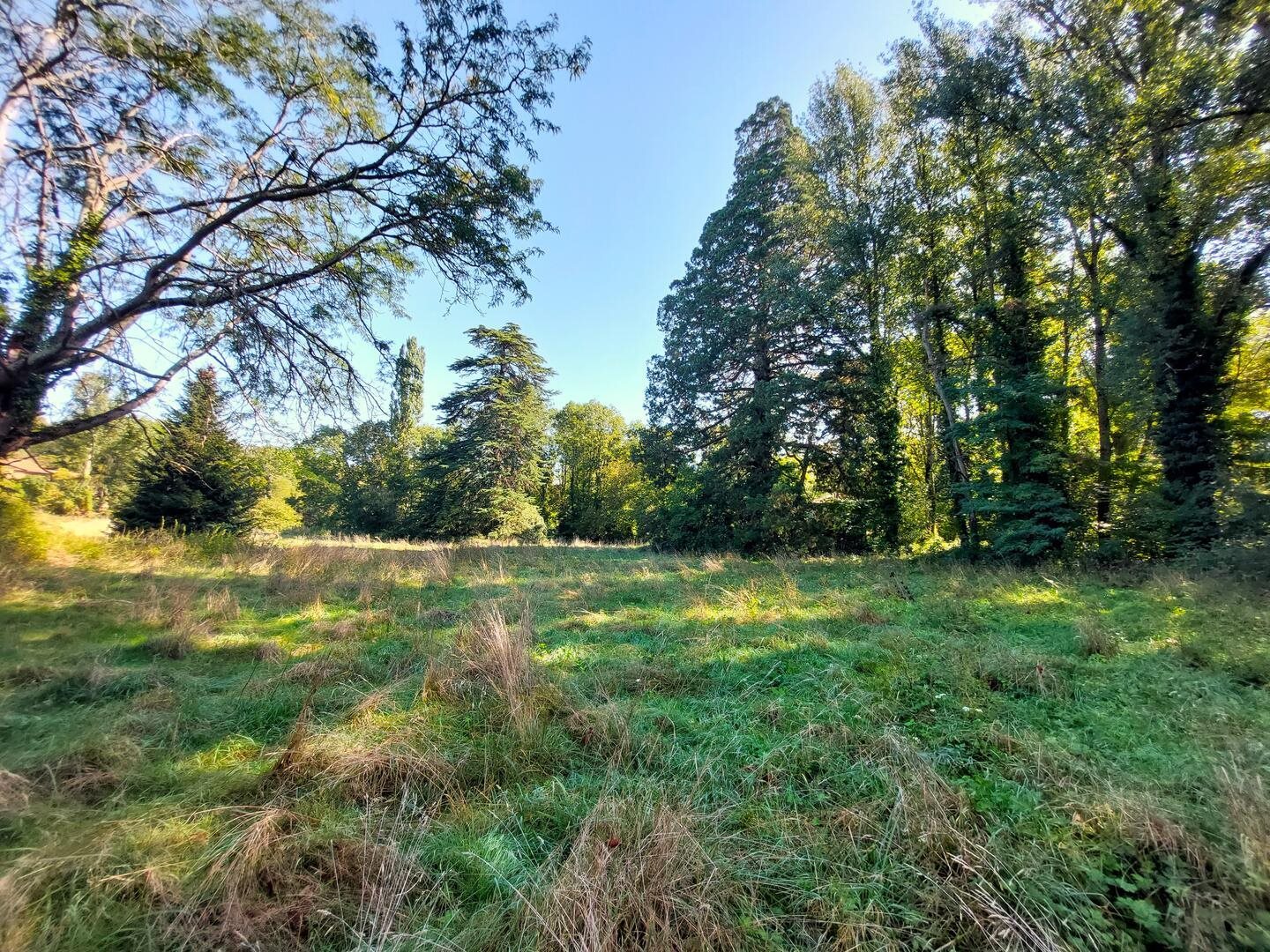 Maison à vendre, 350m², Aulon