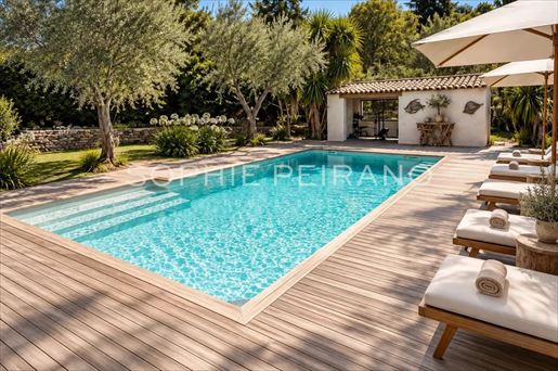 Cannes (Alpes-Maritimes)