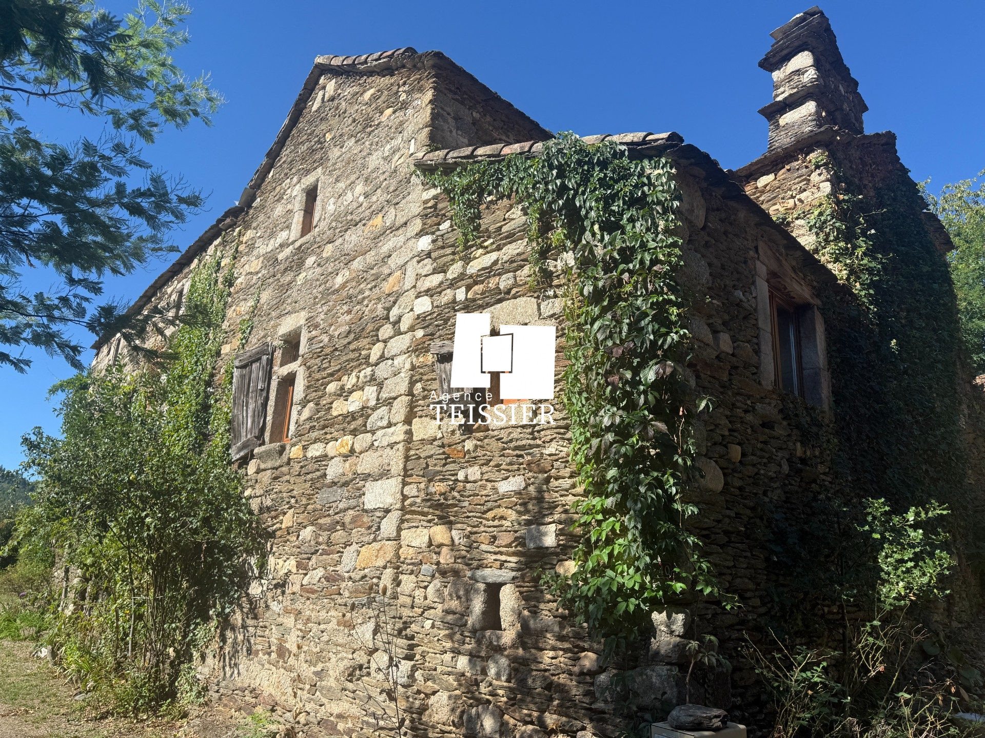 Maison à vendre, 250m², Ponteils-et-Brésis