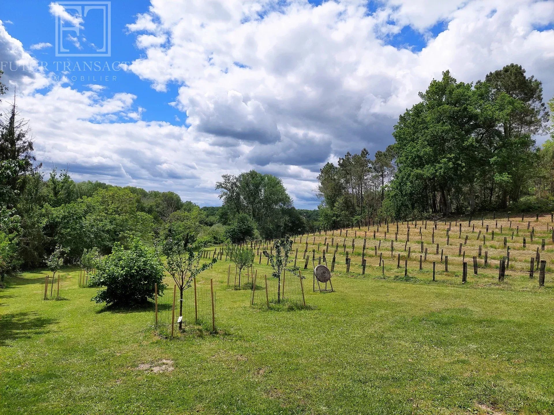 Maison à vendre, 160m², Ribérac