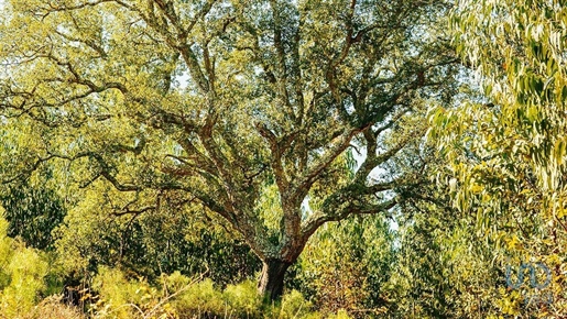 Advert pic 0