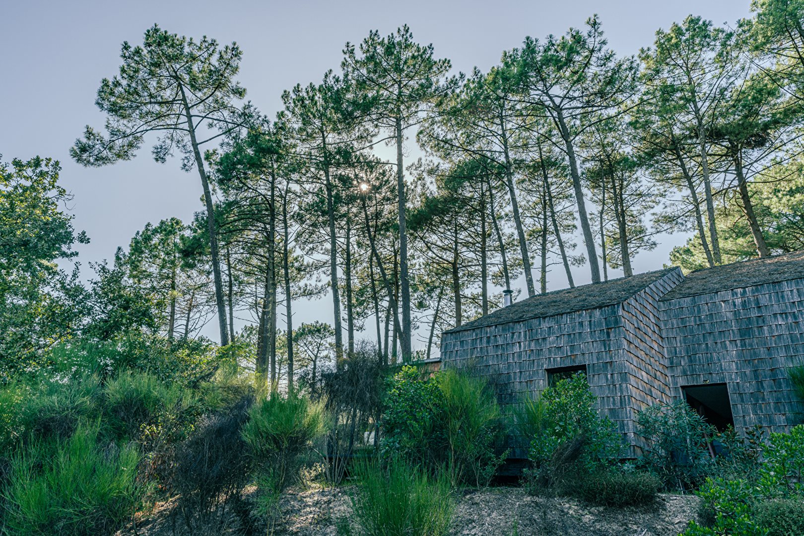 Maison à vendre, 156m², Biscarrosse
