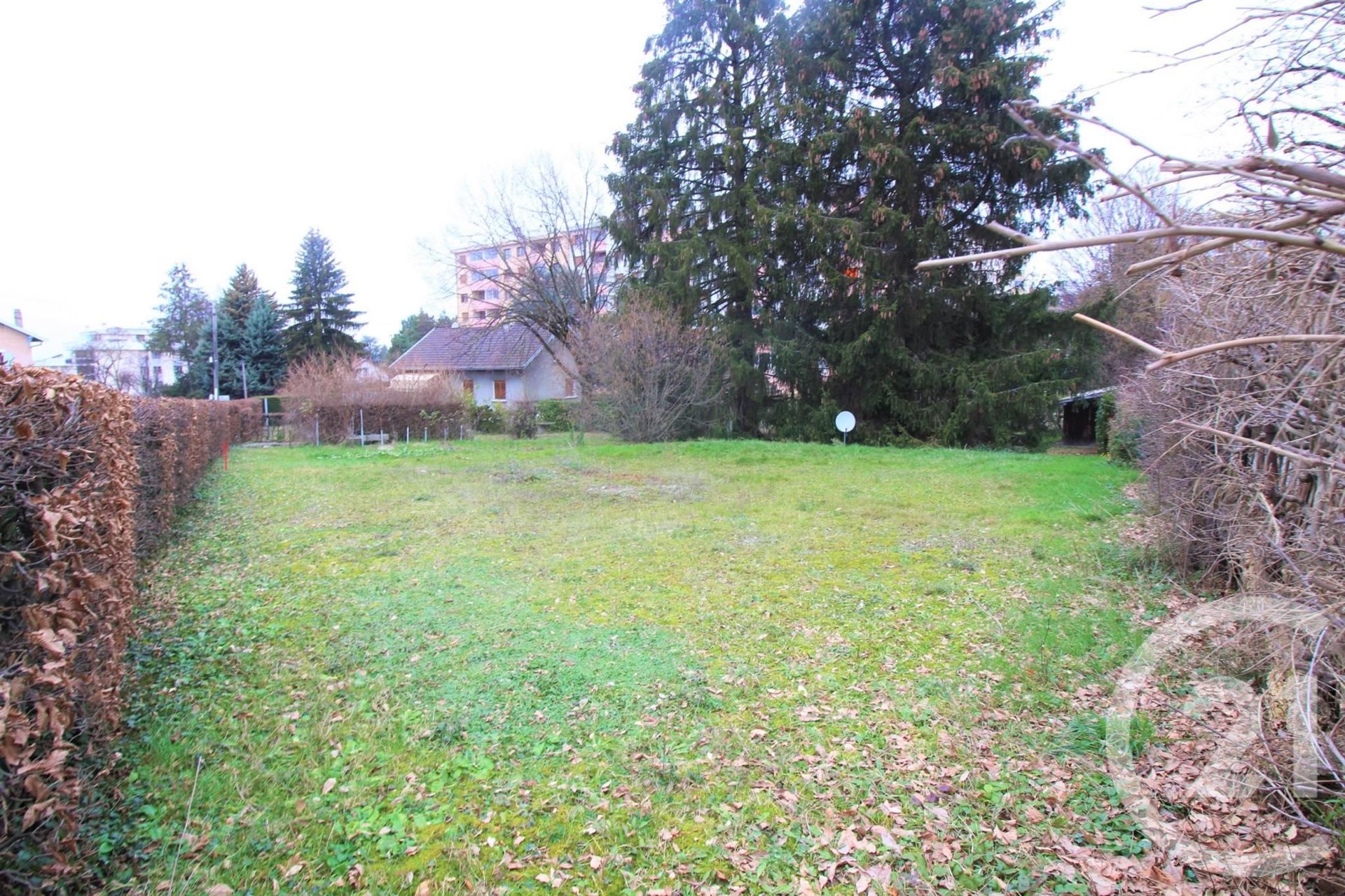 Purchase: Land (74100)